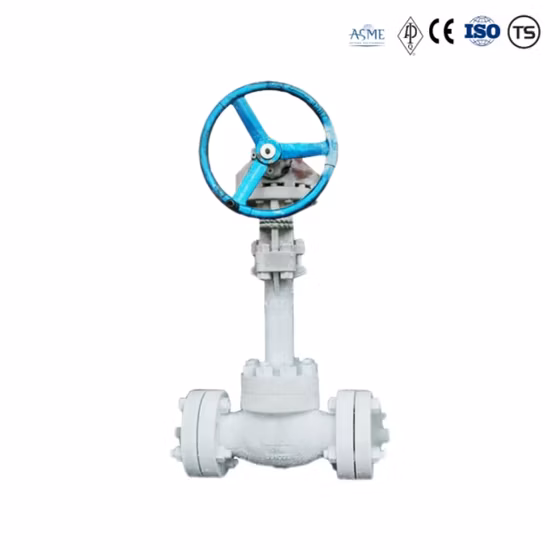 Low Temperature Cryogenic Emergency Closure Control Valve